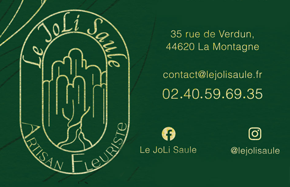 LE JOLI SAULE